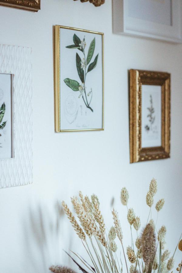 Country House Oberfeld Vipava Extérieur photo